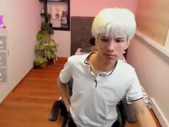 stich_23 webcam model stream image