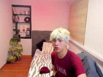stich_23 webcam model stream image