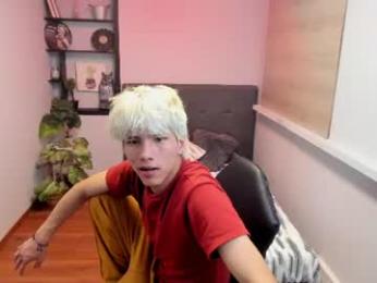 stich_23 webcam model stream image
