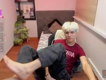 stich_23 webcam model stream image