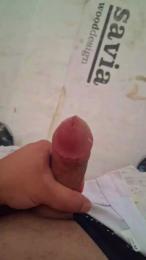 Piolo11 webcam model stream image