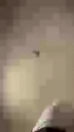 Dot22cmCarioca webcam cam4 model stream image