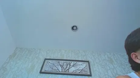 Lander_Cruz webcam model stream image