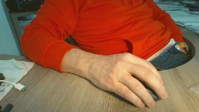 Rola311 webcam model stream image