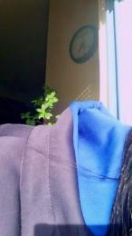 passione_sexy webcam model stream image
