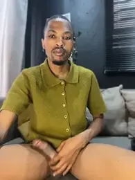 BlueIceCube webcam model stream image