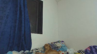 Jackbrown49 webcam model stream image