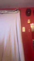 colonmt webcam model stream image