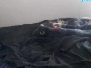 libralamontnsfw webcam model stream image