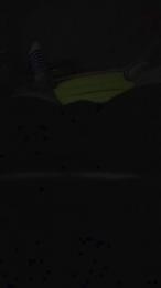 francesc1009 webcam model stream image