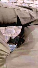 nahuelfree webcam model stream image