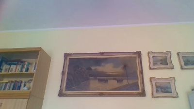 nero8855 webcam model stream image