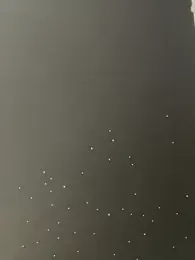 Just-Lilly webcam model stream image