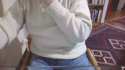 costan3 webcam model stream image