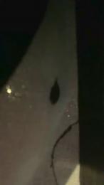 Bull4fun1 webcam model stream image