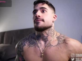 dominic_sullivan1 webcam chaturbate model stream image