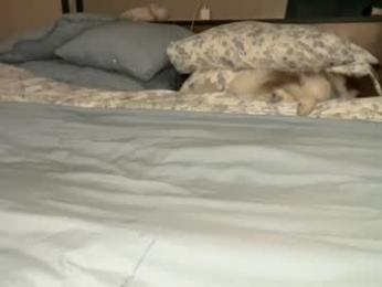 victoriarrose webcam model stream image
