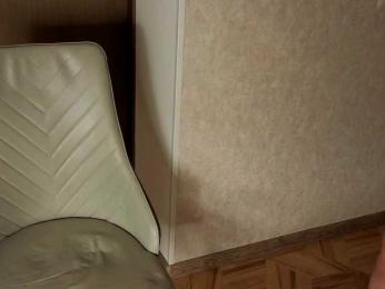 NoFaceModel webcam model stream image