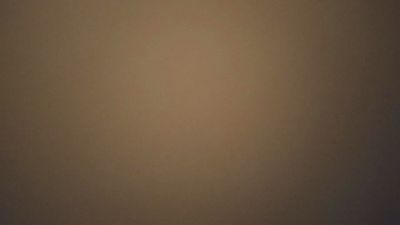 Pedritopalote webcam model stream image
