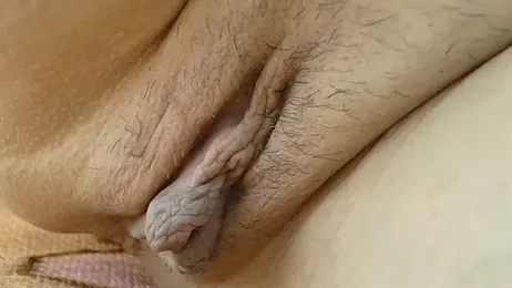 sonyx webcam model stream image