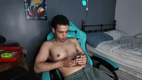 l-laross webcam model stream image