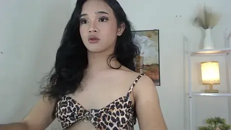 MaterialDuoTransxxx webcam model stream image