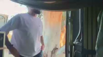 MascVersFFun webcam model stream image