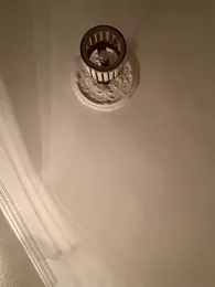 veilofstrength webcam model stream image