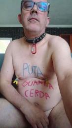 perrasum3 webcam model stream image