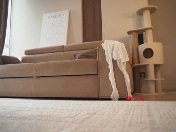 TokyoN webcam bongacams model stream image