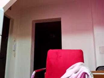 adonis_msc webcam model stream image