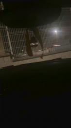 sexdurosexy webcam model stream image