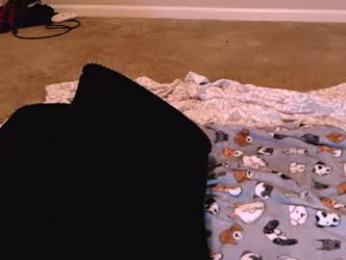 bouncinbooty webcam model stream image