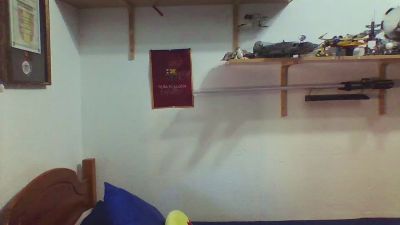 DaxthorCai webcam model stream image