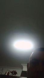 Falisan webcam model stream image