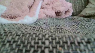 pussycatt0 webcam model stream image