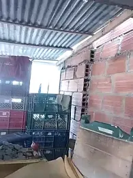 hoteder webcam model stream image