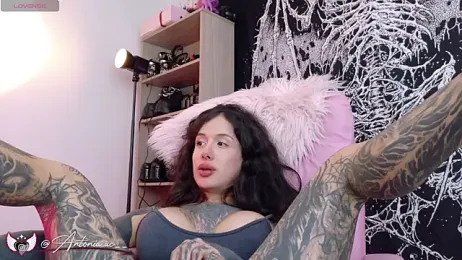 antoniaacxx webcam stripchat model stream image