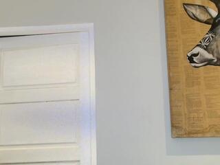 Pierce Bailey webcam model stream image