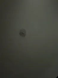 Andrestarr webcam model stream image