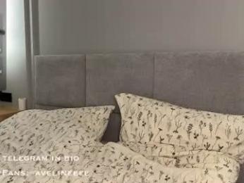 avelineee webcam model stream image