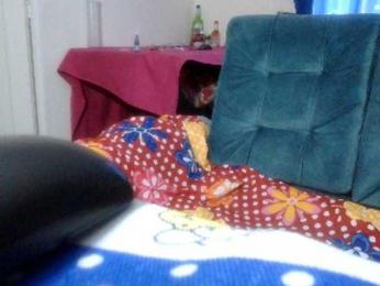 curiousnasty webcam model stream image