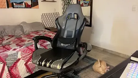 David_Brown18 webcam model stream image