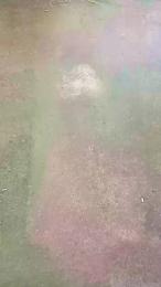 corn104 webcam model stream image