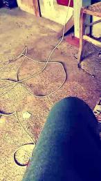 corn104 webcam model stream image