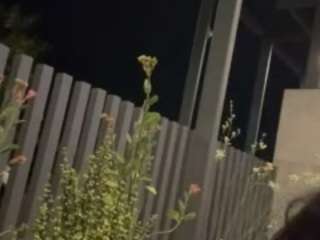 carmensindiego webcam model stream image