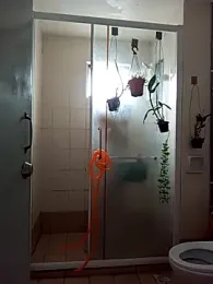 estradiolist webcam model stream image