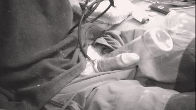 german0hot2 webcam model stream image