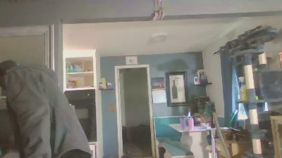 bradcjr webcam model stream image