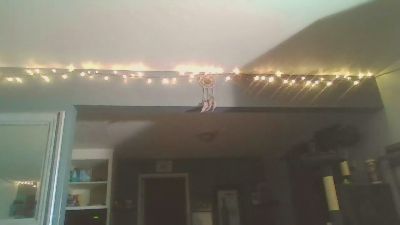 bradcjr webcam model stream image